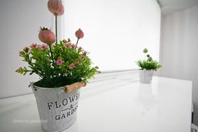 시설보기